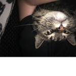 :3 Hi <3