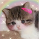 d e v i l i s h c l o t h i n g <3