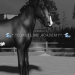 -+-Coastline academy-+-