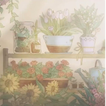 [ Sprout ]