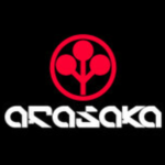 Arasaka Corp | Town and Town Debug