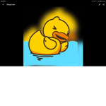 The epic ducks the epic ducks