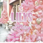 lilys clothing group !