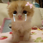 Stful