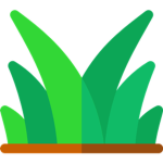 Grassy Plains studio