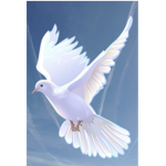 Little Dove Army