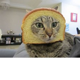 Cats line runner