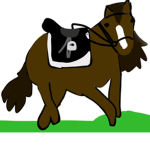Chestnut Mustangs