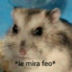 viki Fans :3 ö