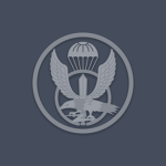The Army Special Warfare Command