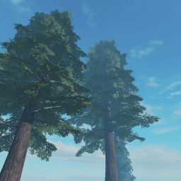 The Forest
