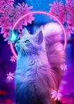 Puffla sky
