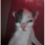 M!AOU