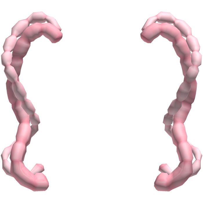 ʚ kawaii creepy cute guts intestine pigtails pink