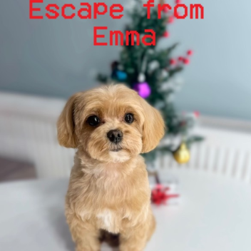 Escape from Emma