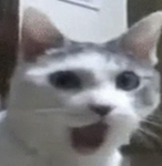 Swag's Cool Emotes