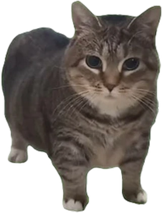 Oiiai, oiiai Roblox group icon