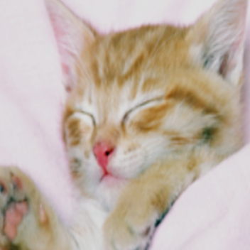 House Destruction Simulator