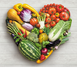 Welcome to food odyssey