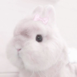 ʚ 🍼 ა˚+