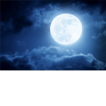 Reaching For The Moon