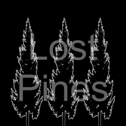 Lost Pines