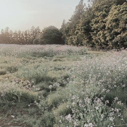 explore