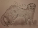 The_Ferret_Squad