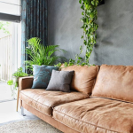 The Cosier