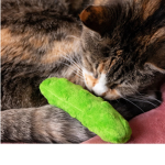 Pickle vs cat army