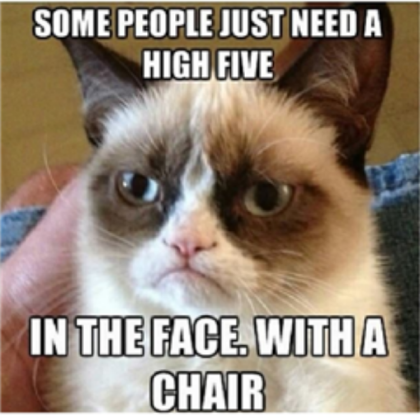 The Grumpy Cat Roblox decal
