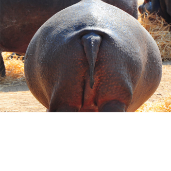 Zoo
