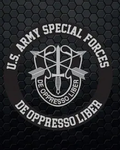 United States Special Forces [-]USSF[-]