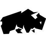 The Bison Group