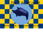 Council of True Blue hair