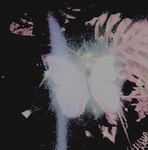 ꥟ dreamer ꥟