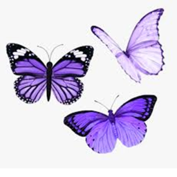 Have