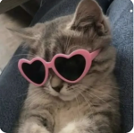 مملكه آَنْزوْ
