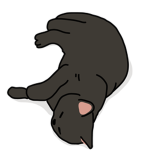 ~The cats~