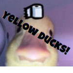 Yellow_duck’s