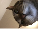 Name name7