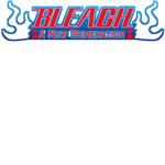 Bleach: New Generation