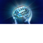 BigBrainBois