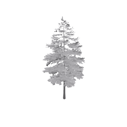 Snowy forest tree ,
