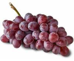 purple berries are good