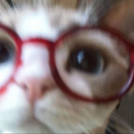 Piggy and YouTubers Group Thumbnail