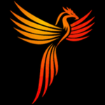 Team Phoenix reborn