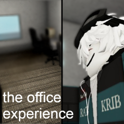 the office experience