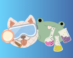 THE DOG FROGS