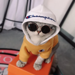 DomsHeat